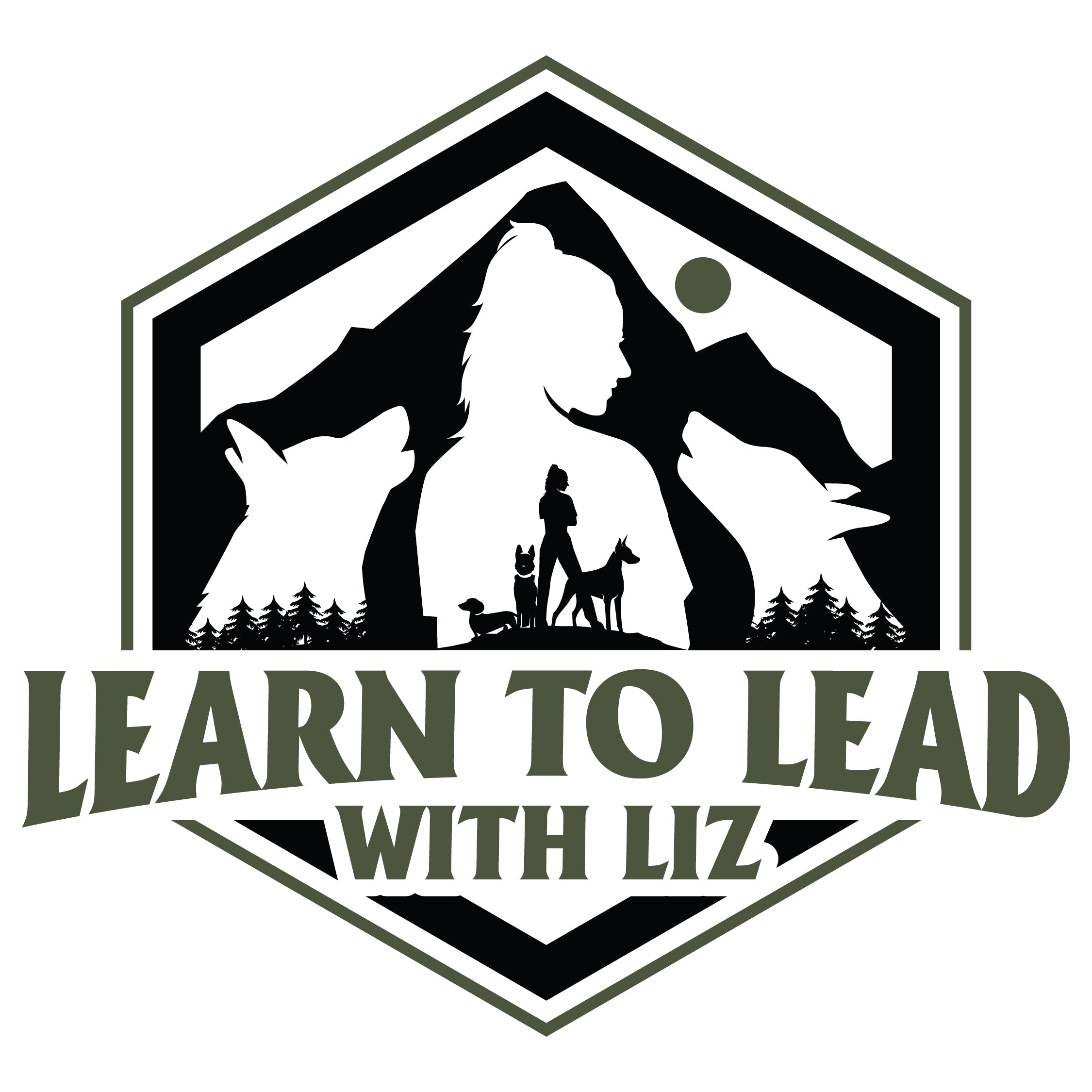 Learn to lead with Liz